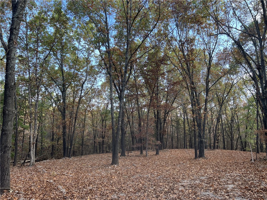 Ozark Haven Realty property-listing-thumbnail