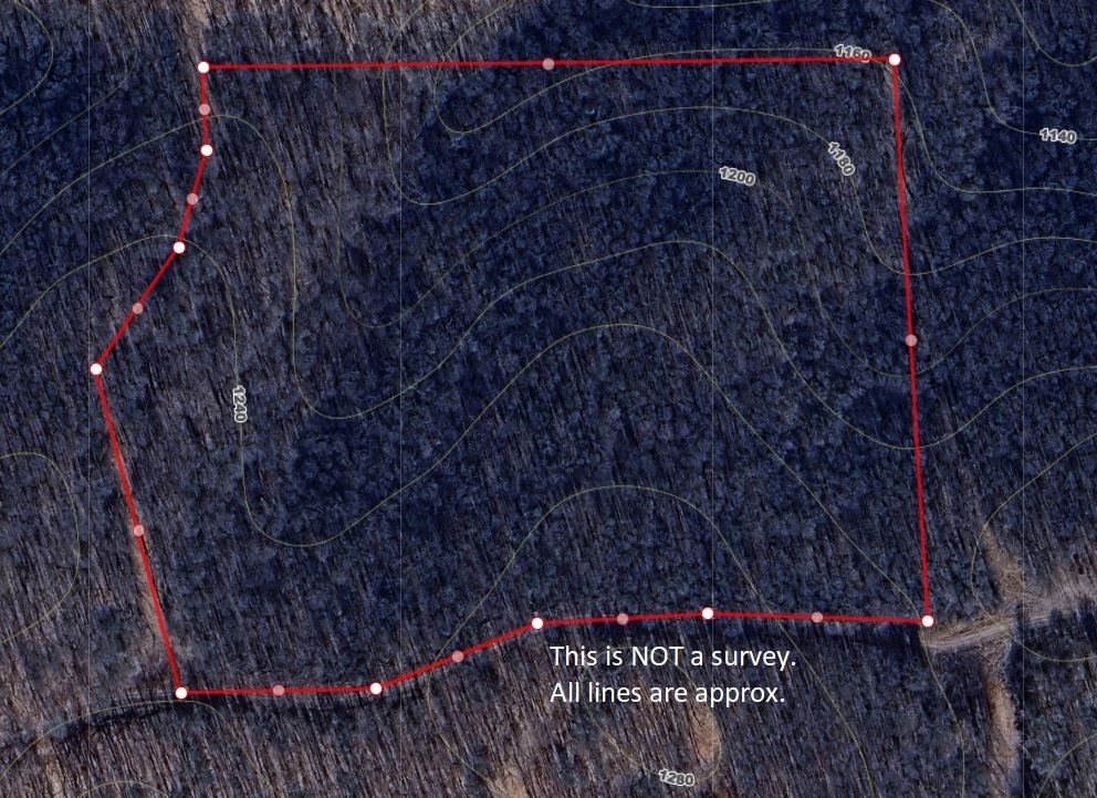 Image 12