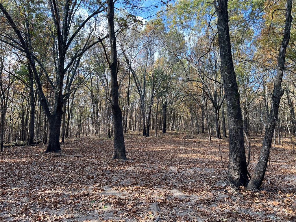 Ozark Haven Realty property-listing-thumbnail