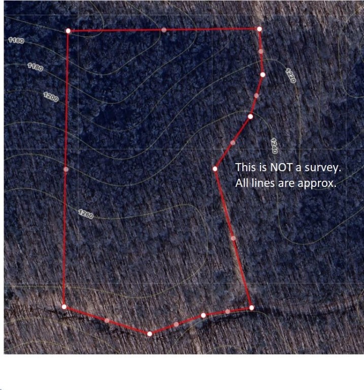 Image 10