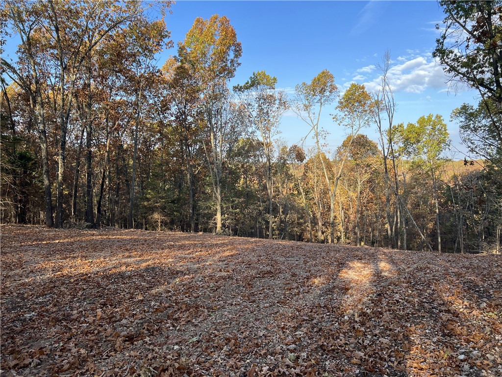 Ozark Haven Realty property-listing-thumbnail