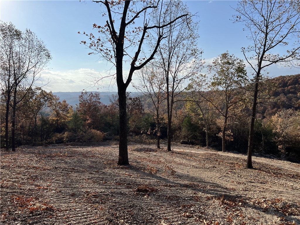 Ozark Haven Realty property-listing-thumbnail