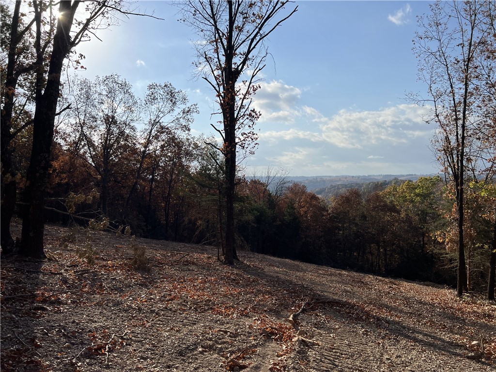 Ozark Haven Realty property-listing-thumbnail