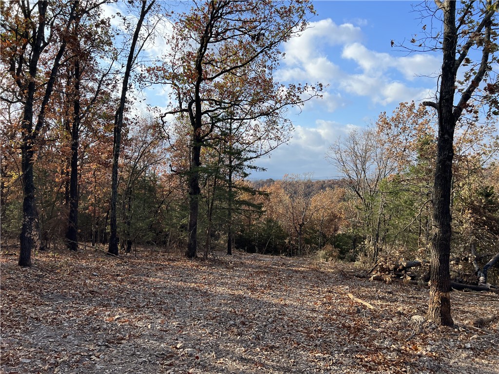 Ozark Haven Realty property-listing-thumbnail