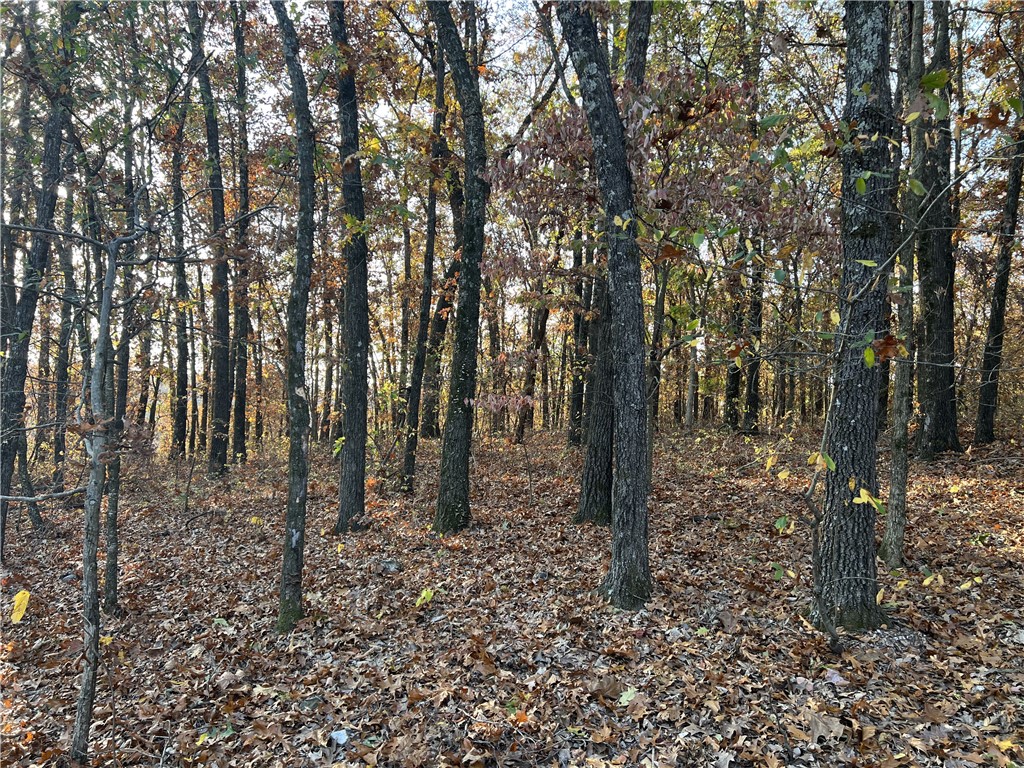 Ozark Haven Realty property-listing-thumbnail