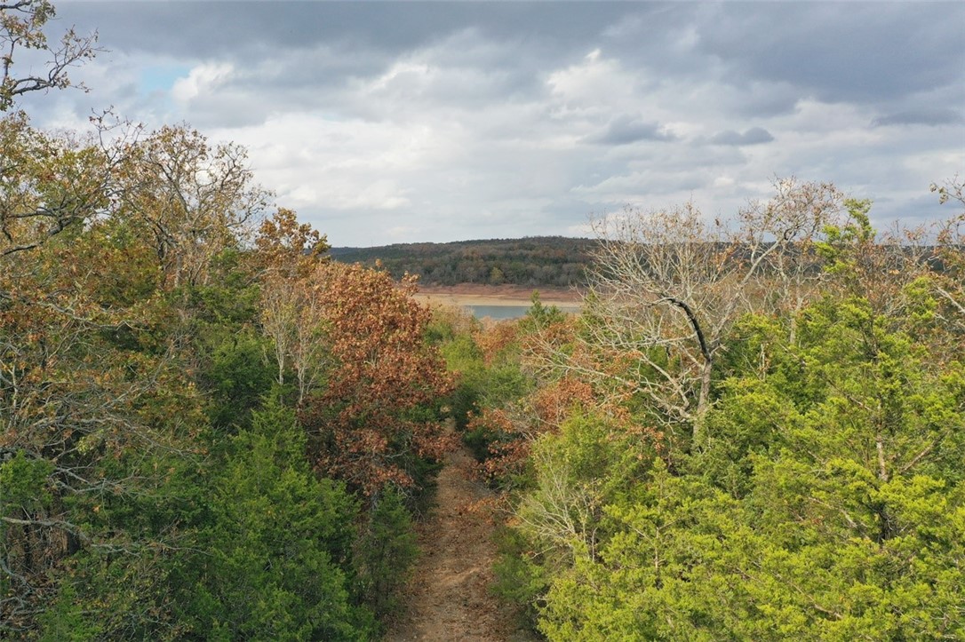 Image 15