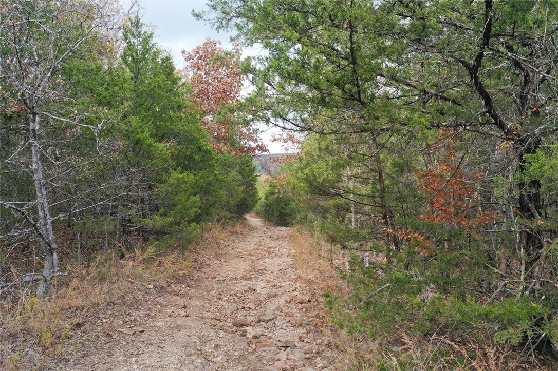 Image 18