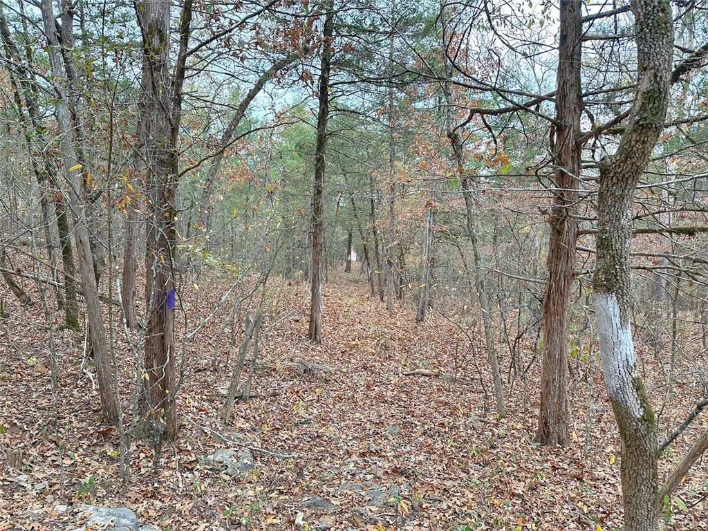 Image 19