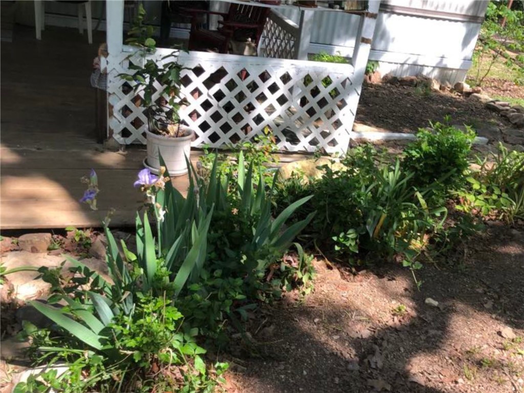 Image 18