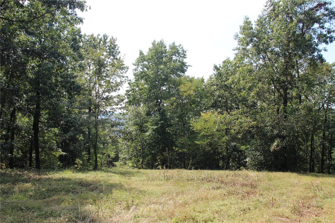 Image 15