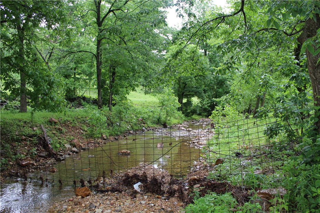 Image 17