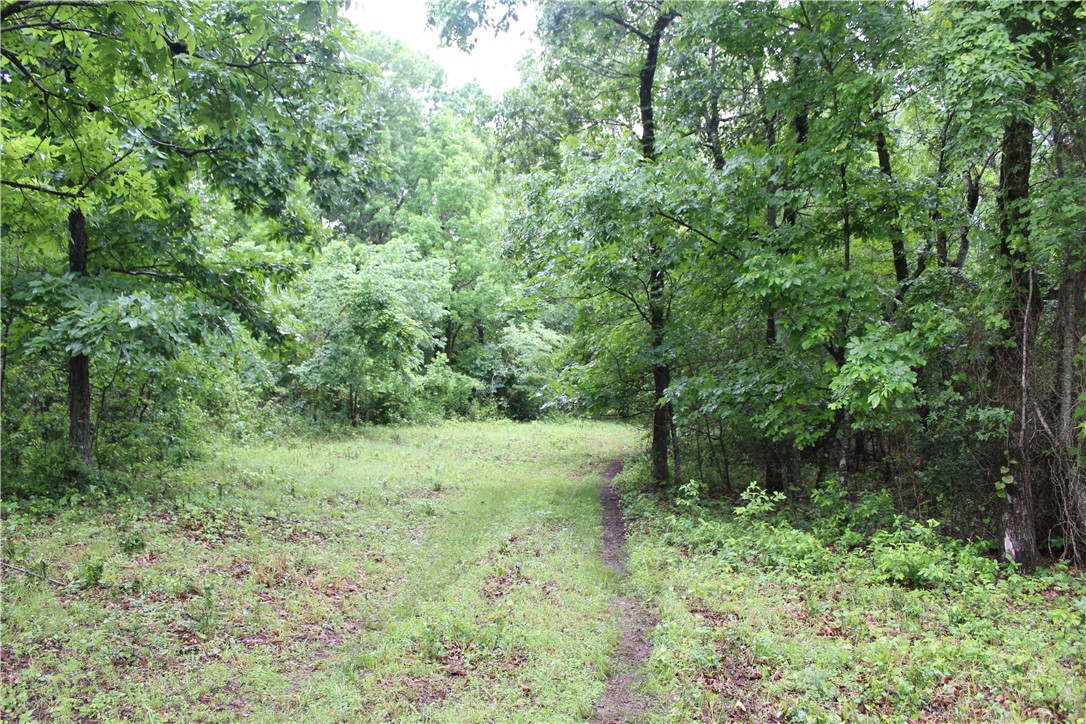 Image 19