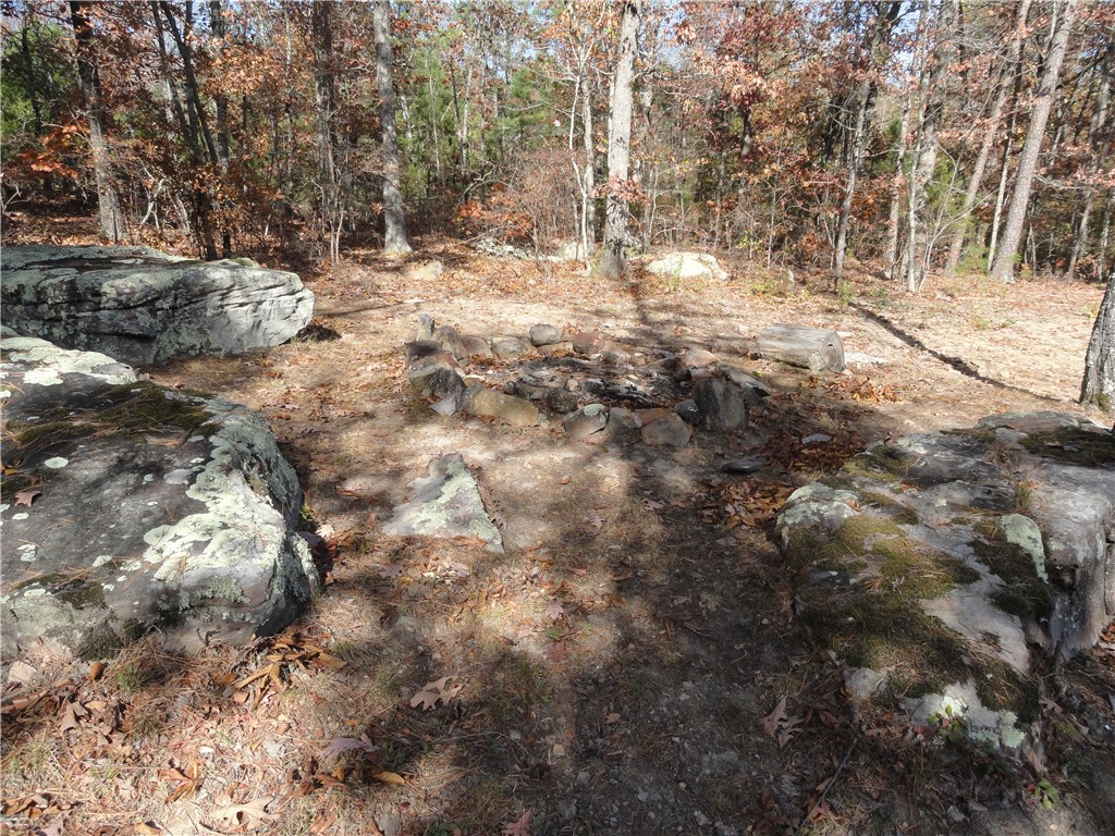 Image 12