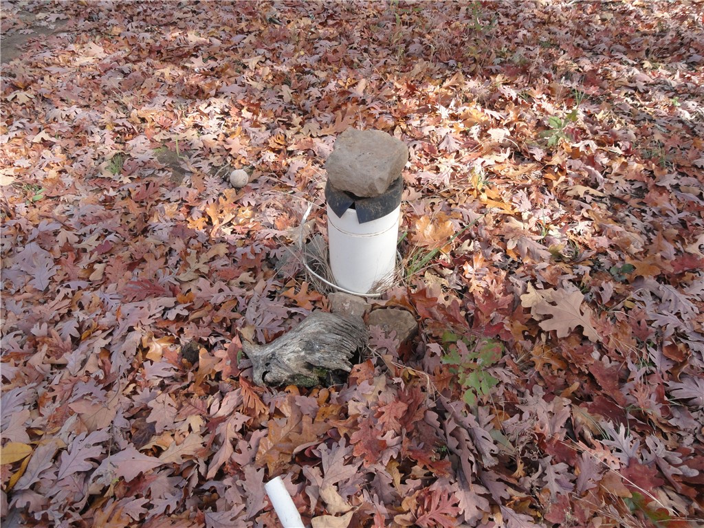 Image 14