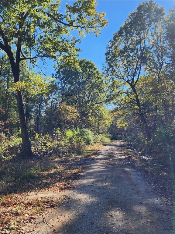 Image 10