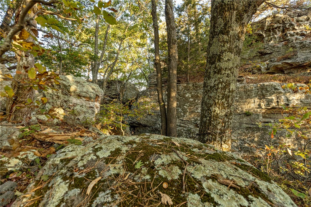 Image 37