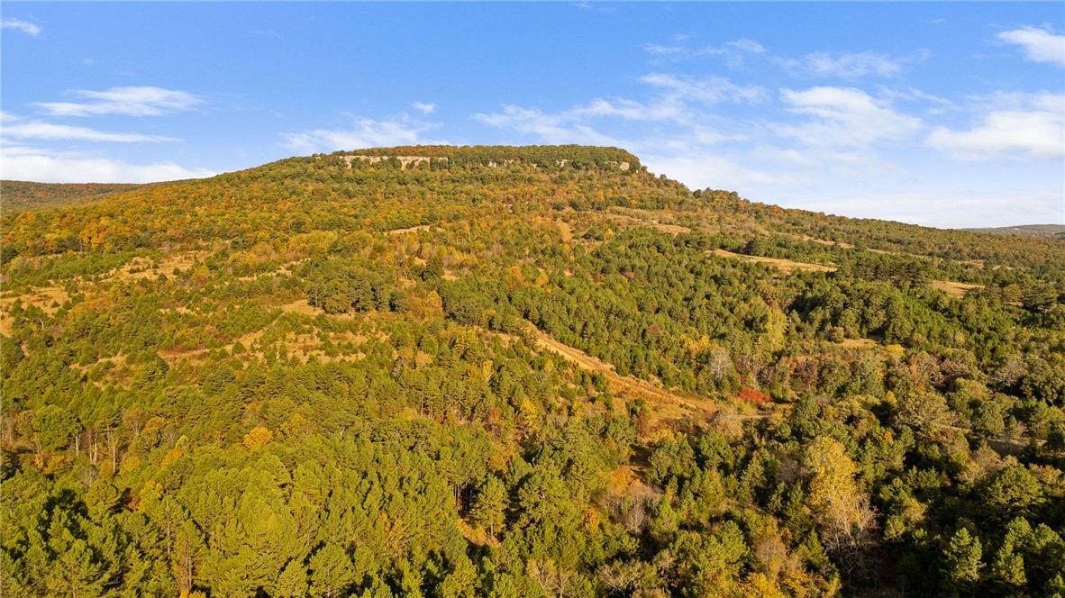 Image 21