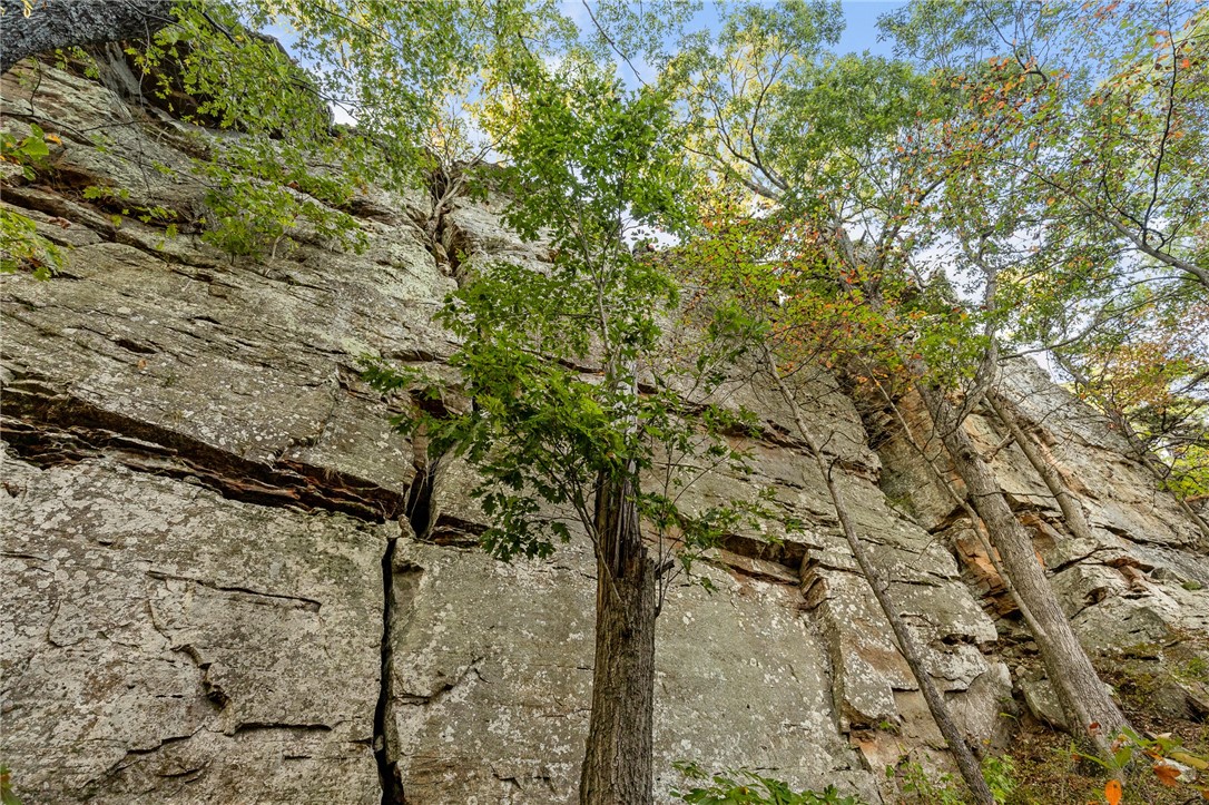 Image 36