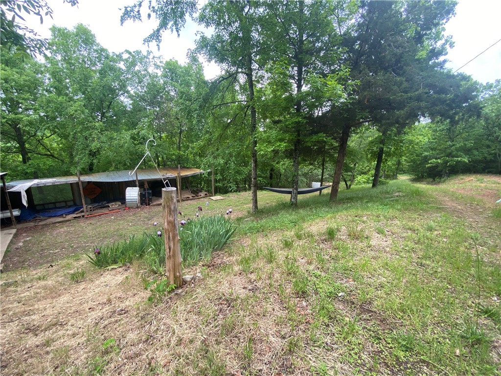 Image 13