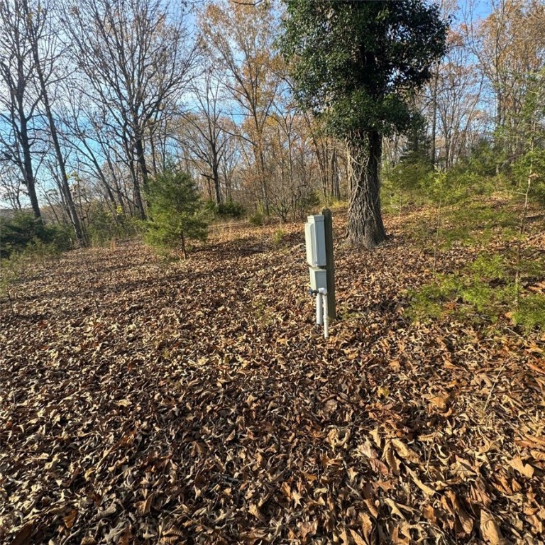 Image 10
