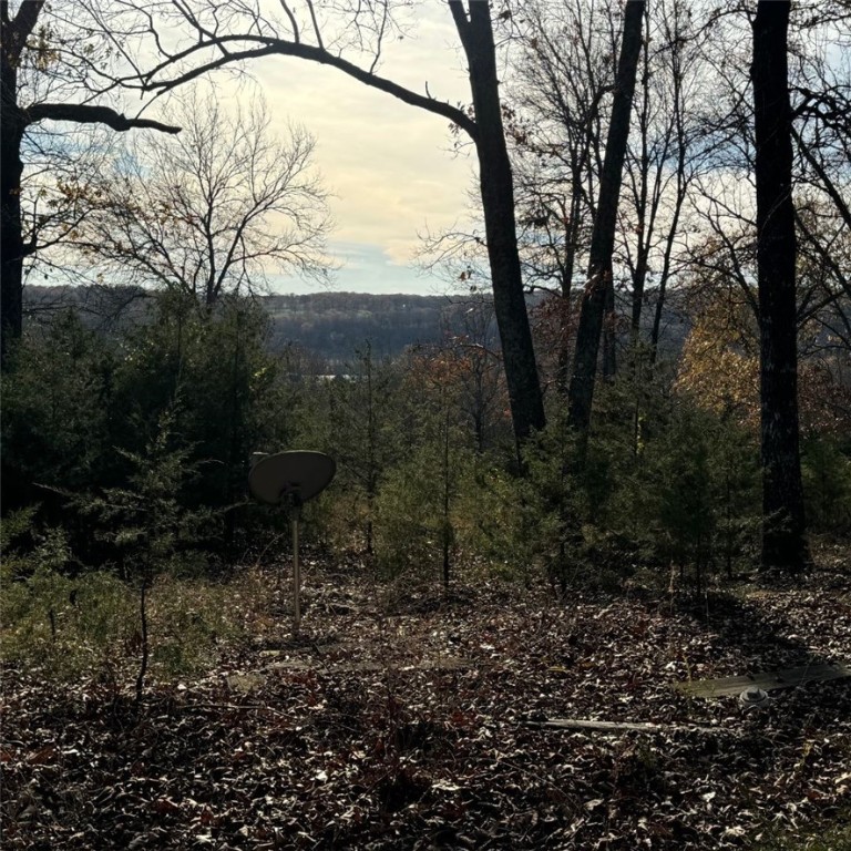 Image 9