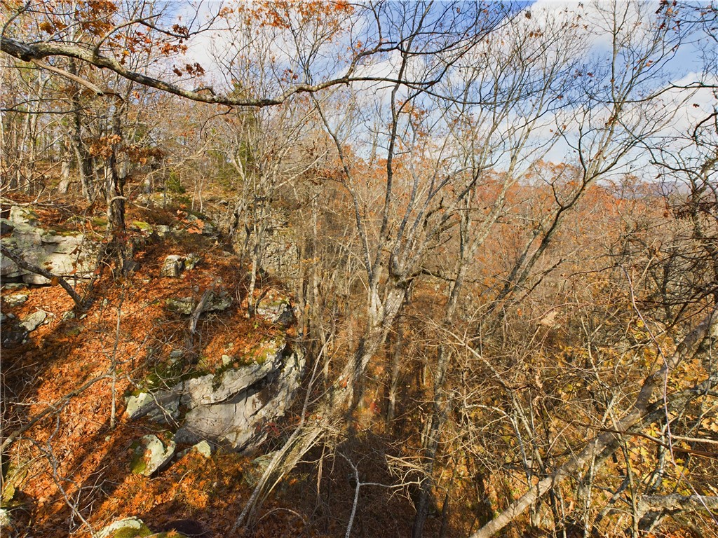 Image 14