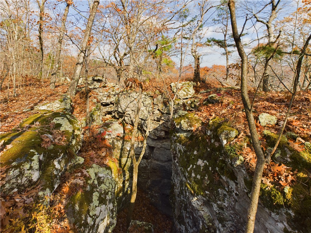Image 15