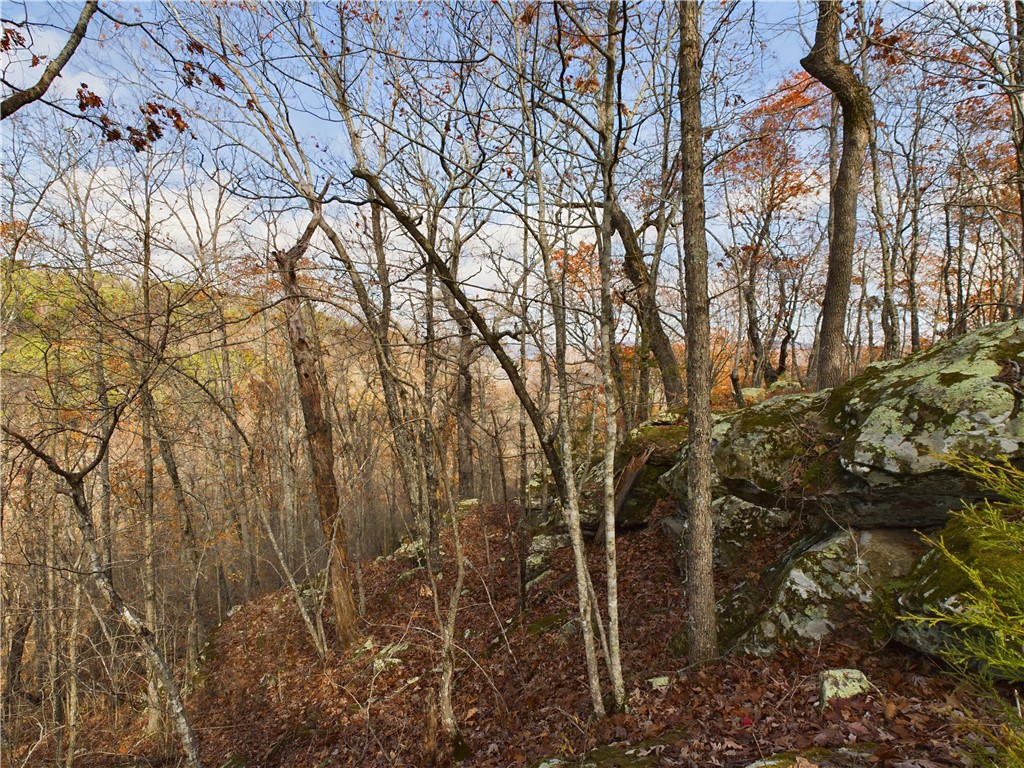 Image 17