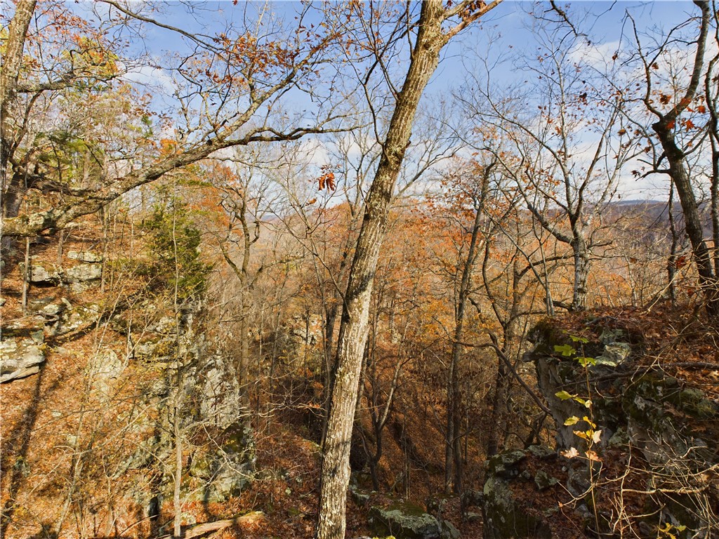 Image 19