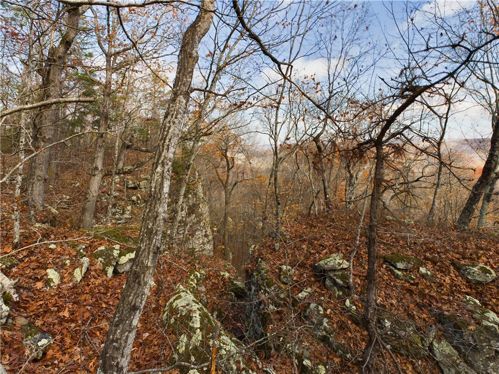 Image 9