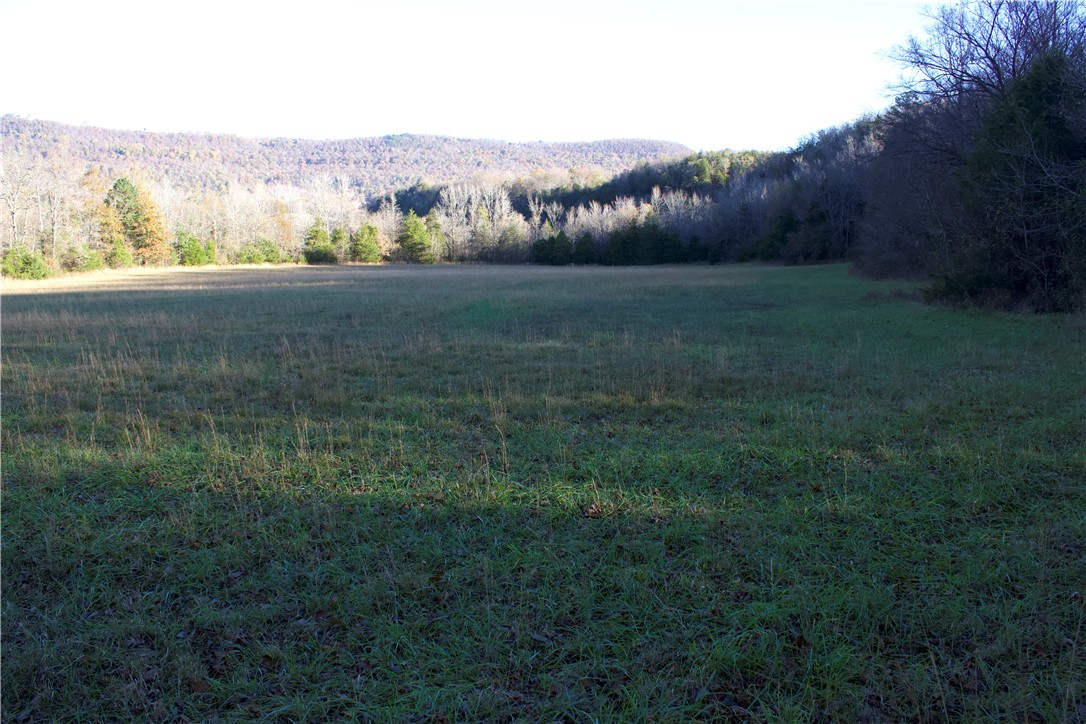 Image 12