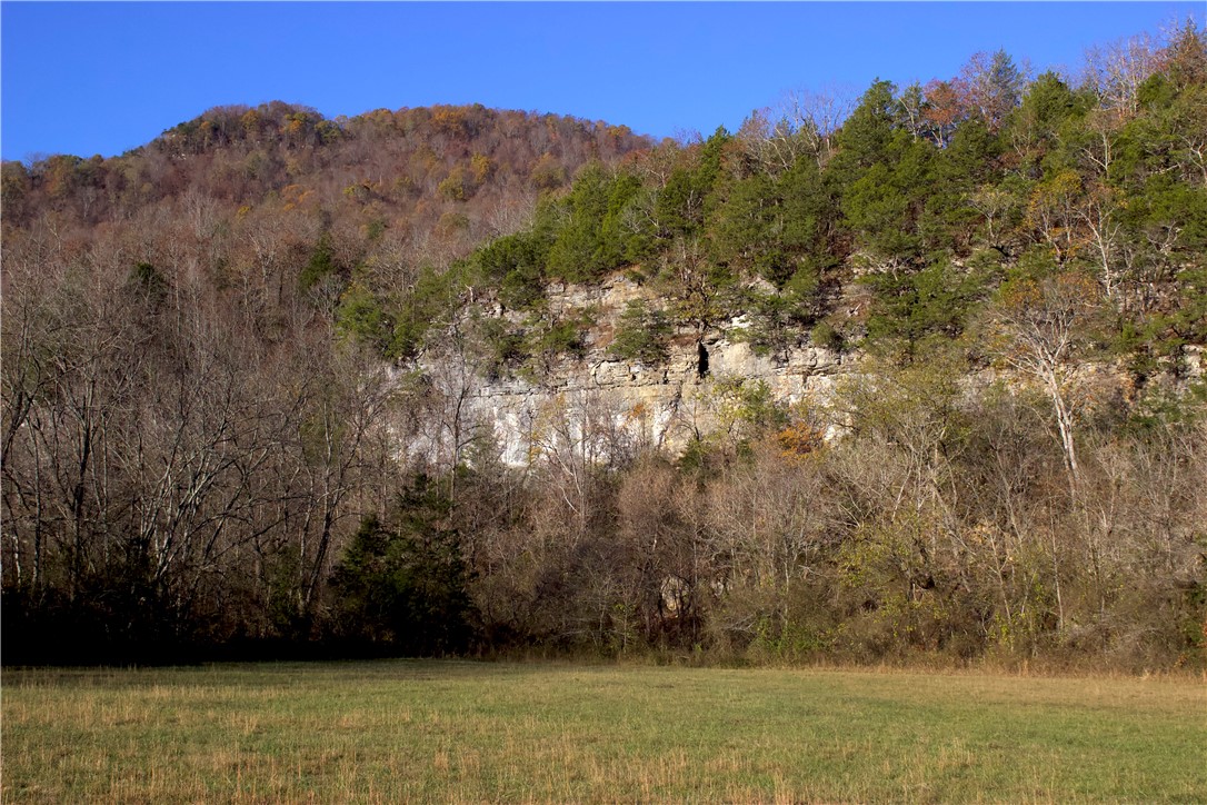 Image 13
