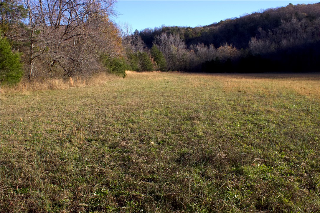 Image 14