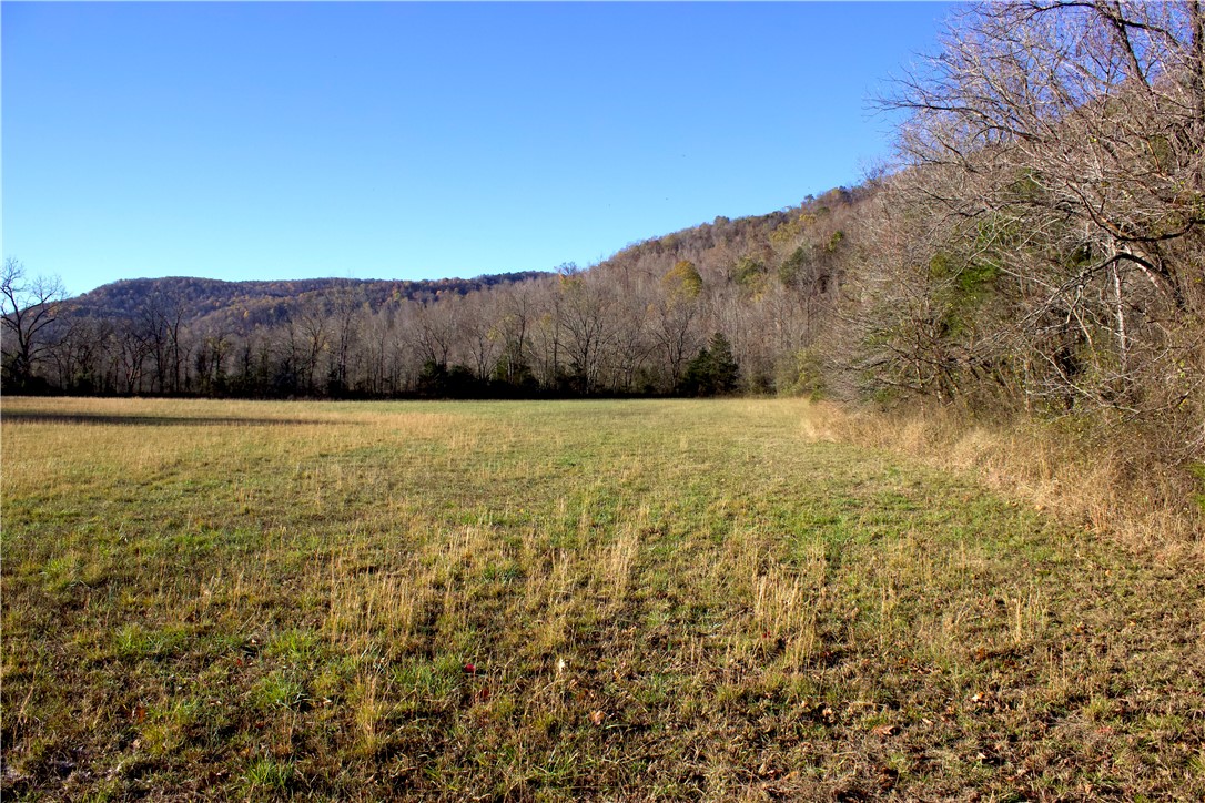 Image 15