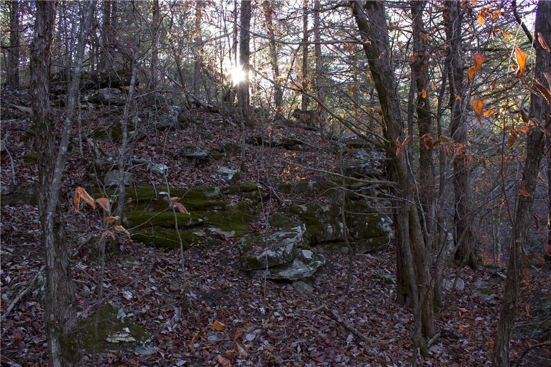 Image 18