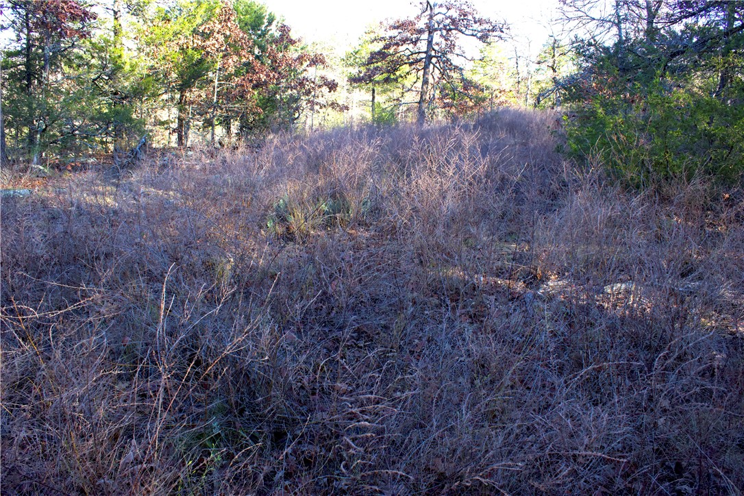 Image 19