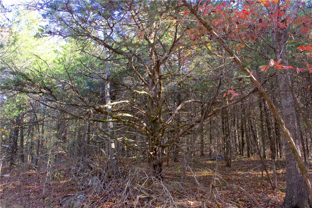 Image 32