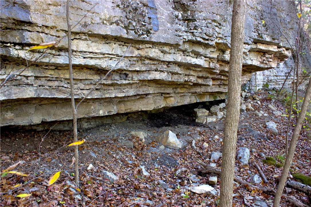Image 35