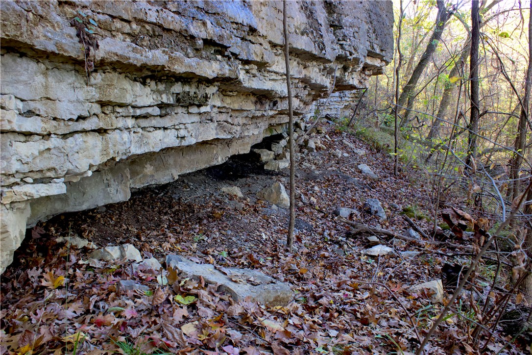 Image 36
