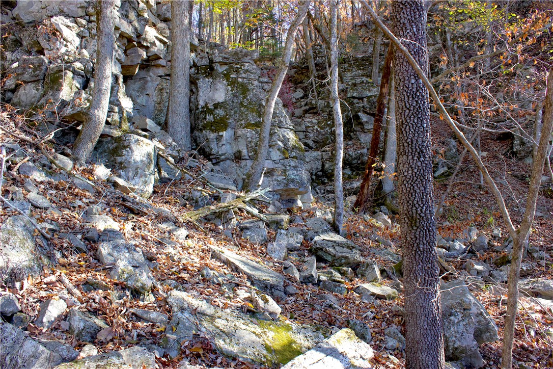 Image 37