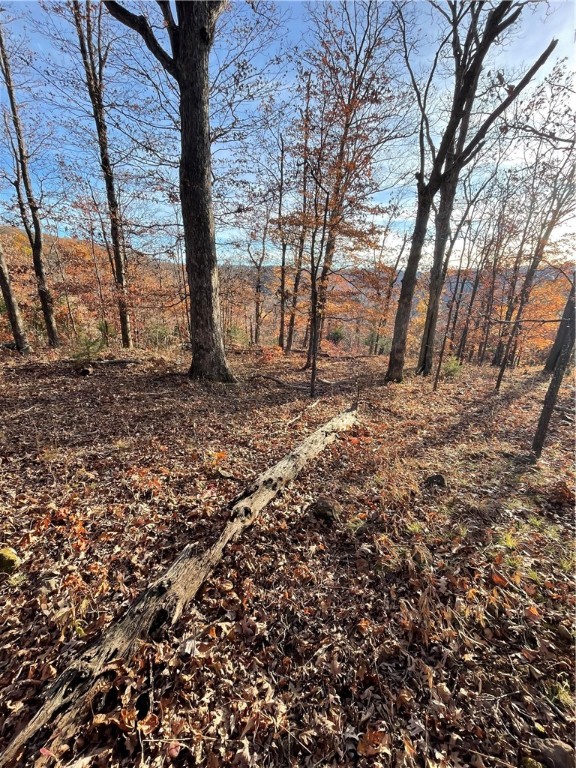 Image 10