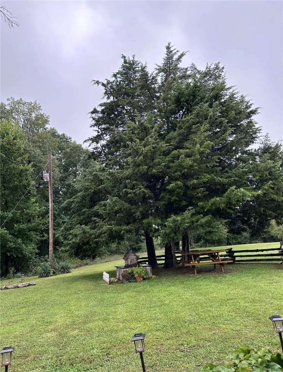 Image 45