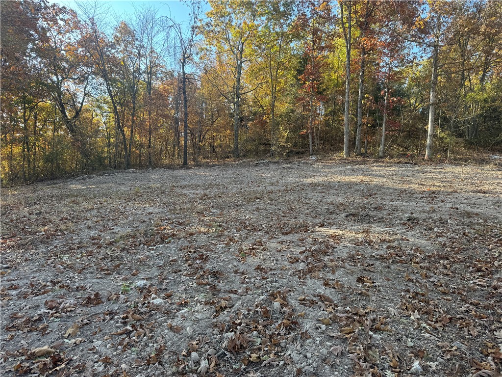 Image 8