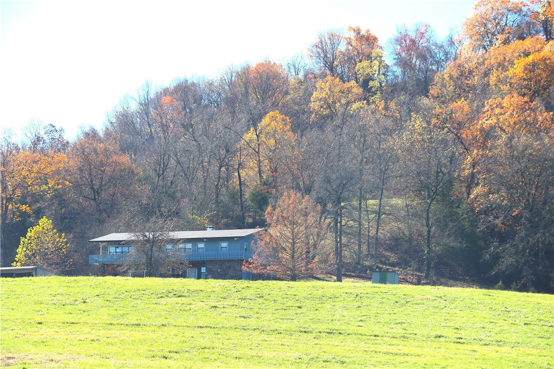 Image 13