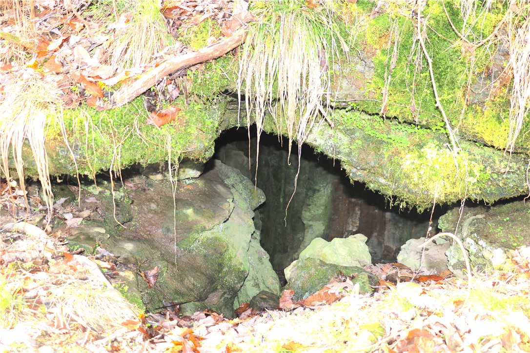 Image 19