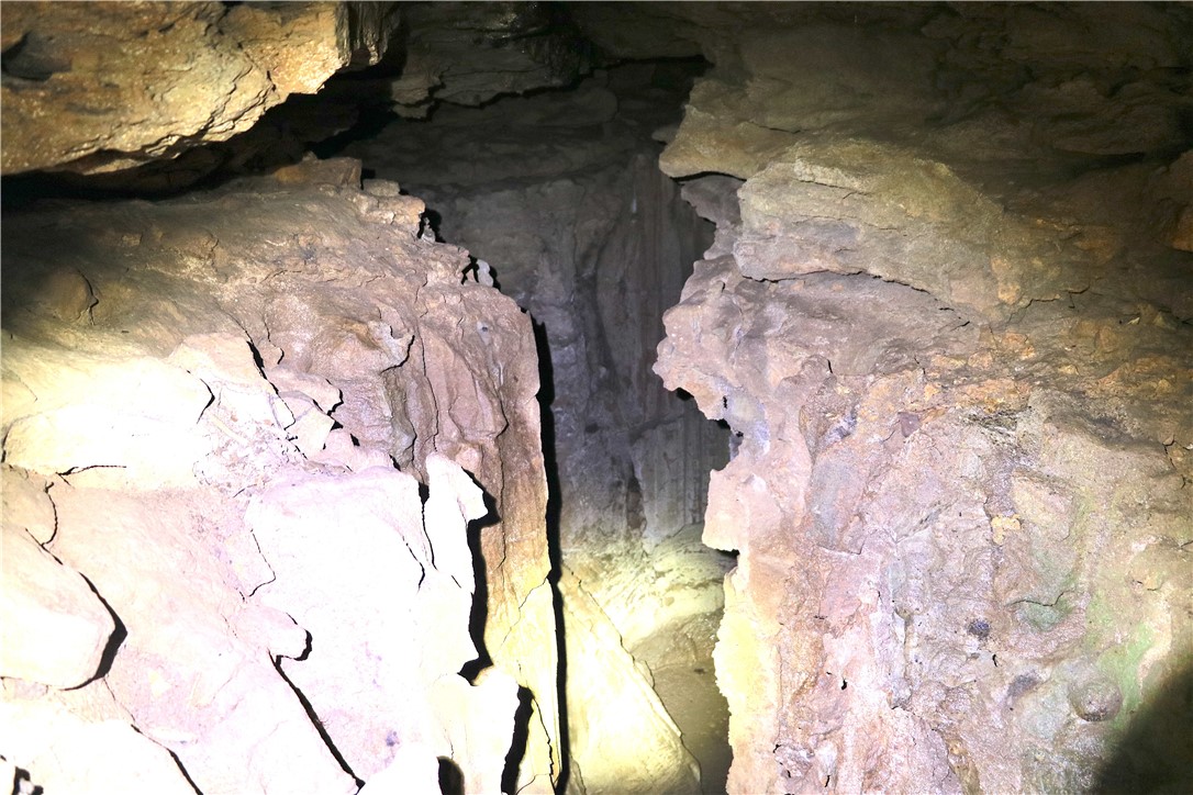 Image 21
