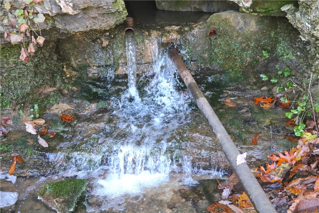 Image 31
