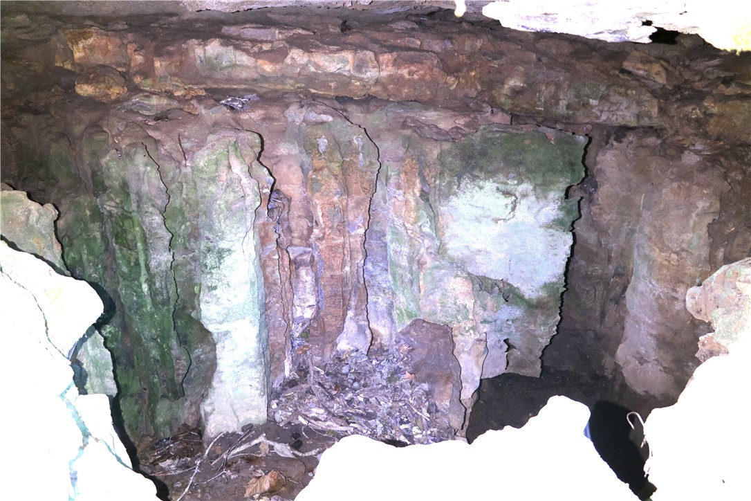 Image 14