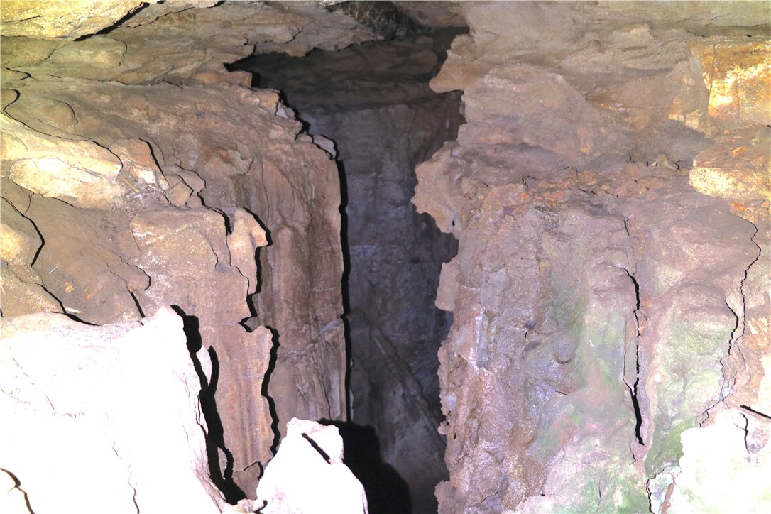 Image 15