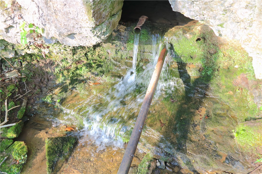 Image 43